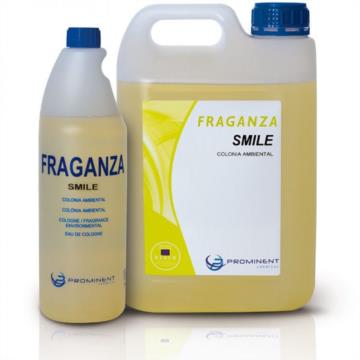 AMBIENTADOR FRAGANCIA INVICTUS